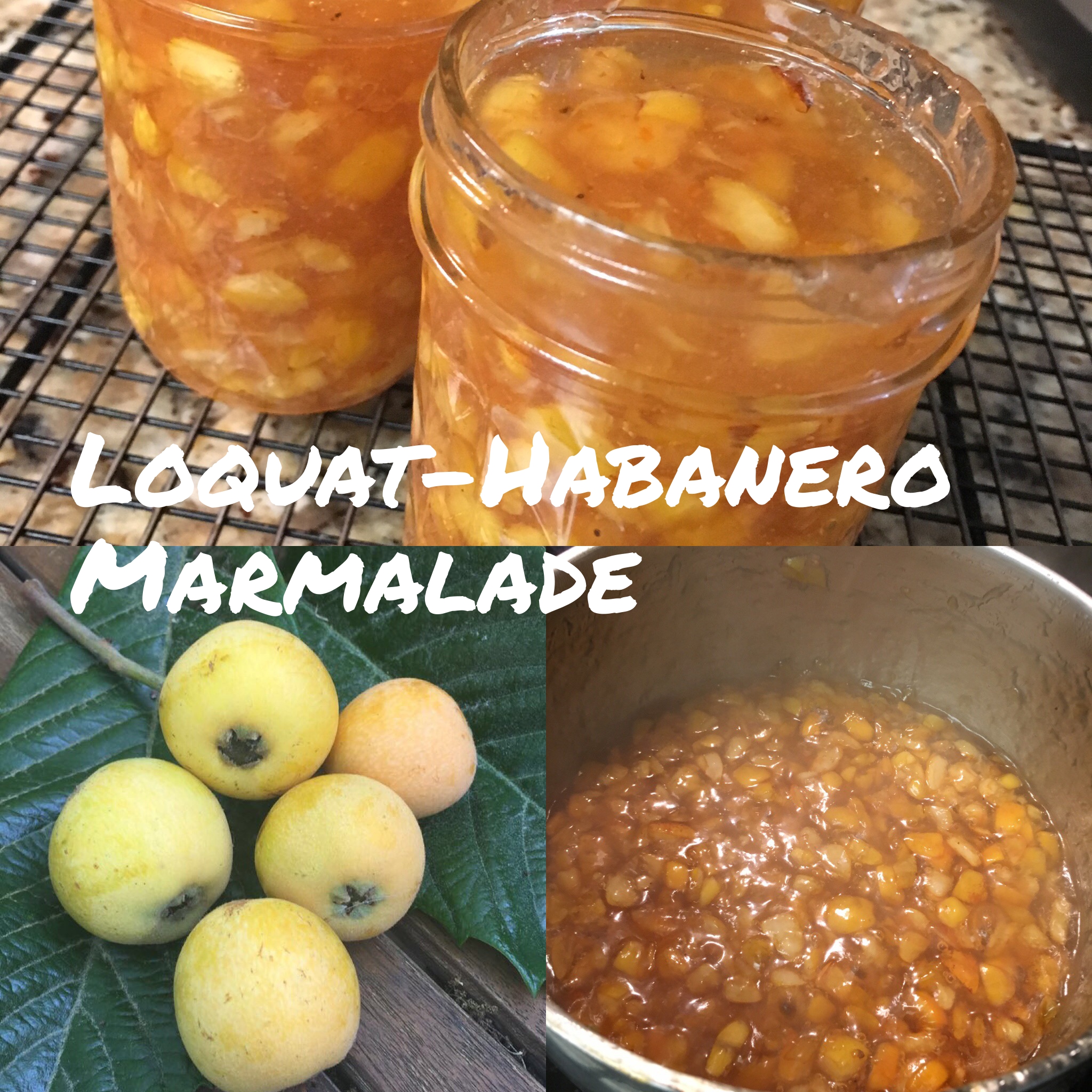 Loquat-Habanero Marmalade